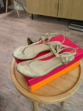 Kate Spade Andrea Gold Glitter T-Strap Sandals